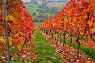 LT 18 Rund um den Tauberberg | © Unknown