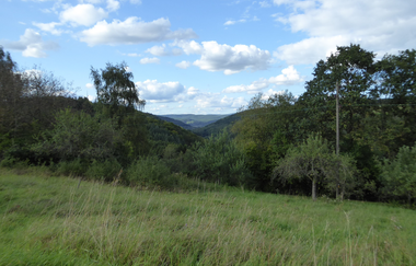 LT 2 Romantisches Wildbachtal | © Liebliches Taubertal