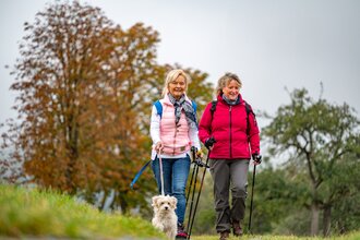 LT 2 Romantisches Wildbachtal | © Liebliches Taubertal