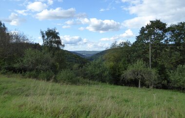 LT 2 Romantisches Wildbachtal | © Liebliches Taubertal