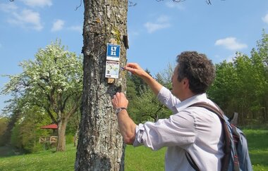 LT 21 Zum Jagsttalblick | © Gemeinde Assamstadt