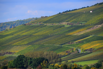 LT 22 - Fine fruit and wine | © Liebliches Taubertal