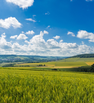 LT 24 Vorbach | © Liebliches Taubertal