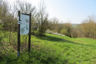 LT 27 Hasennestle and Celtic Oppidum | © Liebliches Taubertal