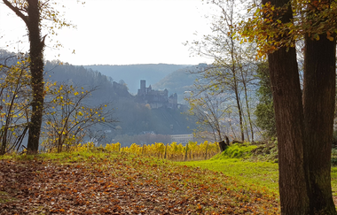 LT 3 Wein und Glaube | © Unbekannt