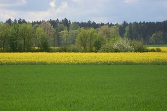 LT 5 Ins Erfatal | © Liebliches Taubertal