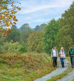 LT 6 Wasser.Wein.Weite. | © Liebliches Taubertal