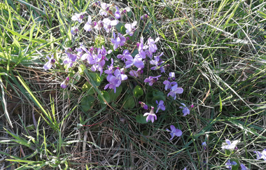 LT 6 Wasser.Wein.Weite. | © Liebliches Taubertal