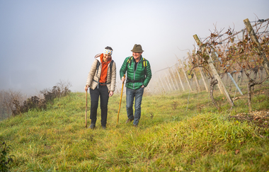 LT 6 Wasser.Wein.Weite. | © Liebliches Taubertal