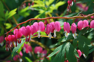 LT 7 Muschelkalk und Orchideen | © Liebliches Taubertal