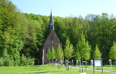 LT 7 Muschelkalk und Orchideen | © Liebliches Taubertal