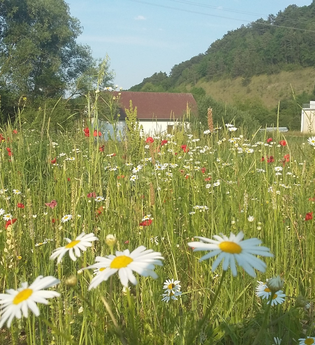 LT 9 Über das hohe Bild zur Schutzengelkapelle | © Liebliches Taubertal