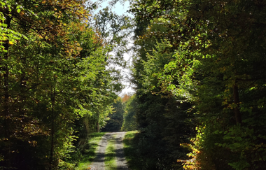 LT-M6 - Bildstockwanderweg 1 | © Liebliches Taubertal
