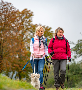 LT-M6 - Bildstockwanderweg 1 | © Liebliches Taubertal