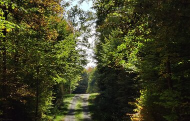 LT-M6 - Bildstockwanderweg 1 | © Liebliches Taubertal