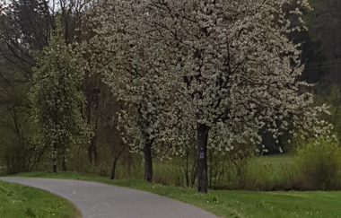 M8 Rundwanderung Möckmühl | © Touristikgemeinschaft HeilbronnerLand e.V.