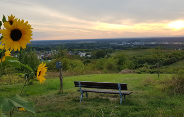 Madonnen, Weinberge, Streuobstwiesen, Wallfahrtskapelle: Rundtour Bad Schönborn - Malsch | © Land der 1000 Hügel - Kraichgau-Stromberg