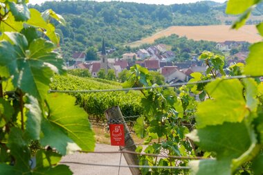 © Liebliches Taubertal