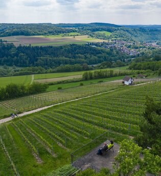 Mainweitblick | © TOURISMUS REGION WERTHEIM GmbH