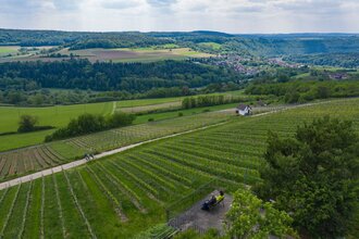 Mainweitblick | © TOURISMUS REGION WERTHEIM GmbH