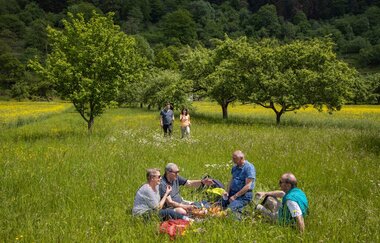Mainweitblick | © TOURISMUS REGION WERTHEIM GmbH