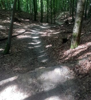 Maulwurf -Trail