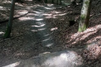 Maulwurf -Trail