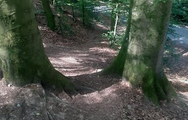 Maulwurf -Trail