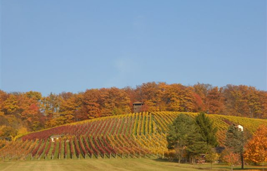 MB1 - Kultur, Natur & Eppinger Linien | © Aufnahme Fam. Jaggy