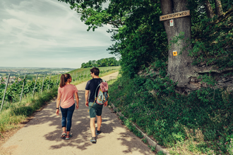 Württembergischer Weinwandweg oberhalb Burg Hohenbeilstein | HeilbronnerLand | © Touristikgemeinschaft HeilbronnerLand