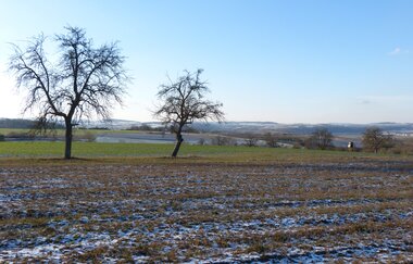 Milchsäules-Rundweg | © Land der 1000 Hügel - Kraichgau-Stromberg