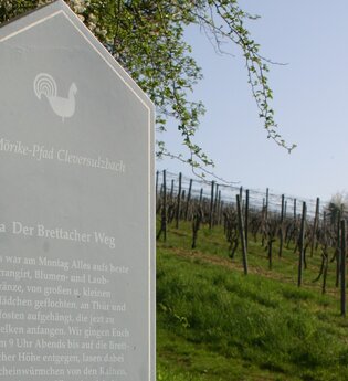 Info-Tafel Mörikepfad | Cleversulzbach im HeilbronnerLand | © Stadtverwaltung Neuenstadt a. K.