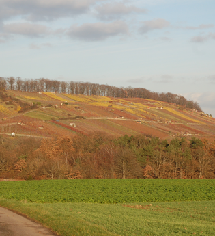 MÜ3 - Wander3klang - Mühlacker -  kurze Strecke | © Stadt Mühlacker