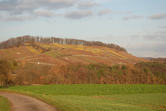 MÜ3 - Wander3klang - Mühlacker -  kurze Strecke | © Stadt Mühlacker