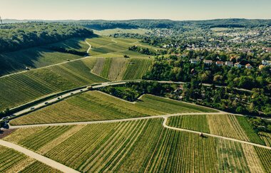 Landschaftsaufnahme vom Wartberg in Heilbronn aus der Vogelperspektive. | © Touristikgemeinschaft HeilbronnerLand e.V.