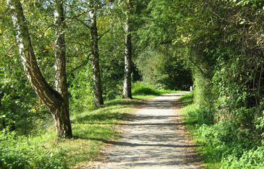 Beginn des Fußwegs im Fünfmühlental | Bad Rappenau | HeilbronnerLand | © Touristikgemeinschaft HeilbronnerLand