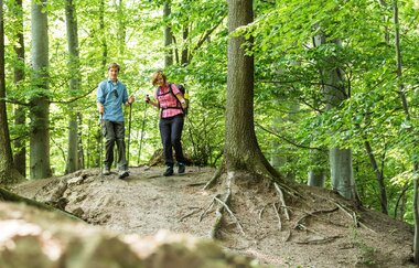 Salzwanderweg Bad Friedrichshall | HeilbronnerLand | © Touristikgemeinschaft HeilbronnerLand