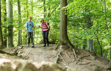 Salzwanderweg Bad Friedrichshall | HeilbronnerLand | © Touristikgemeinschaft HeilbronnerLand