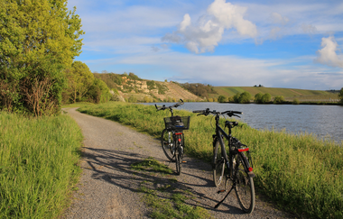 Radfahren am Neckar | HeilbronnerLand | © Stadtverwaltung Lauffen am Neckar