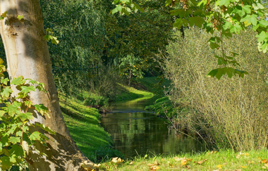 Die Sulm in Erlenbach | HeilbronnerLand | © Tourismus im Weinsberger Tal