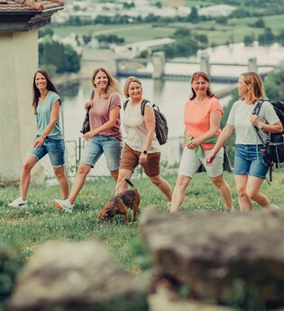Wandern rund um Gundelsheim | Gundelsheim | HeilbronnerLand | © Stadt Gundelsheim