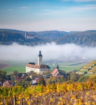 Panorama Schloss Horneck | Gundelsheim | HeilbronnerLand | © Schloss Horneck Gundelsheim