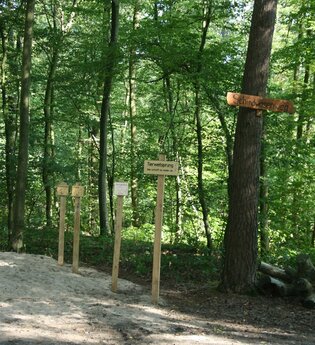 Waldlehrpfad | Gemeinde Kirchardt | HeilbronnerLand