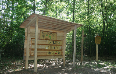 Waldlehrpfad | Gemeinde Kirchardt | HeilbronnerLand | © Gemeinde Kirchardt