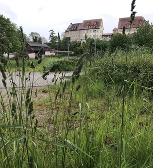 Natur-Erlebnis-Pfad auf dem Kraichradweg | © Land der 1000 Hügel - Kraichgau-Stromberg