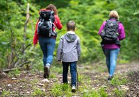 © Touristikgemeinschaft Hohenlohe e. V. | Stadt Künzelsau
