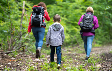 Natur-Erlebnis-Pfad Künzelsau | © Touristikgemeinschaft Hohenlohe, Künzelsau / Stadtverwaltung Künzelsau