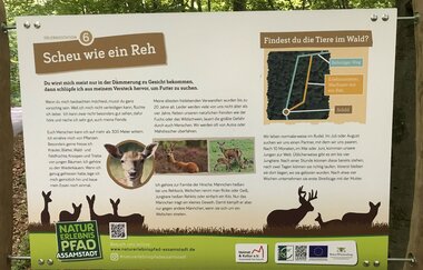 Naturerlebnispfad Assamstadt - Top für Familien mit Kindern