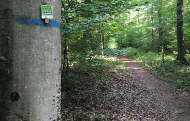 Naturerlebnispfad Assamstadt - Top für Familien mit Kindern