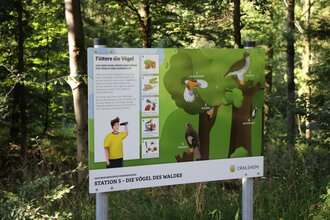 Zu sehen ist eine Infotafel zum See umgeben von Wäldern | © Stadtverwaltung Crailsheim